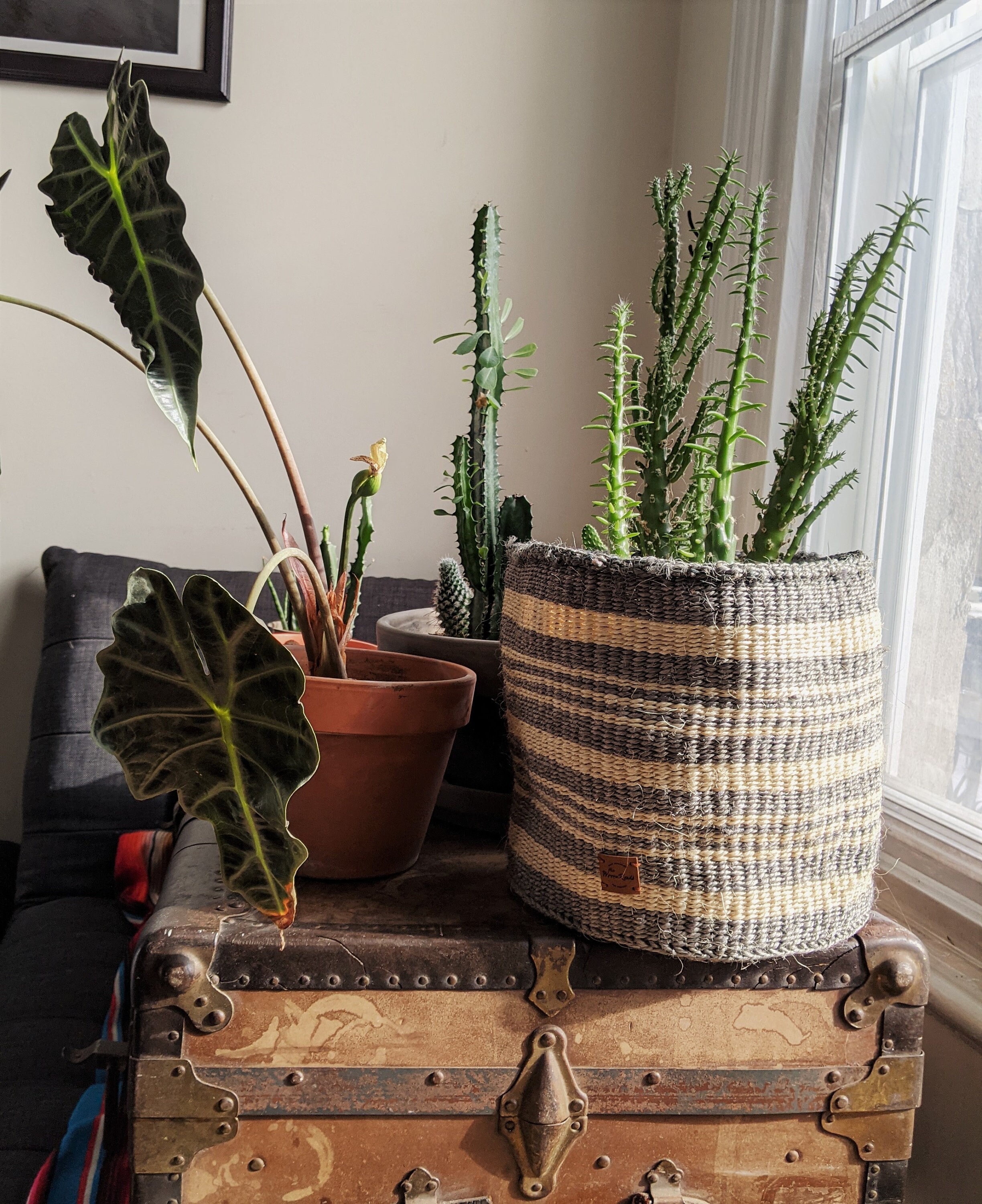 Kenia: Natürlicher Sisal-Korb / Ethisch handgemachte | Etsy