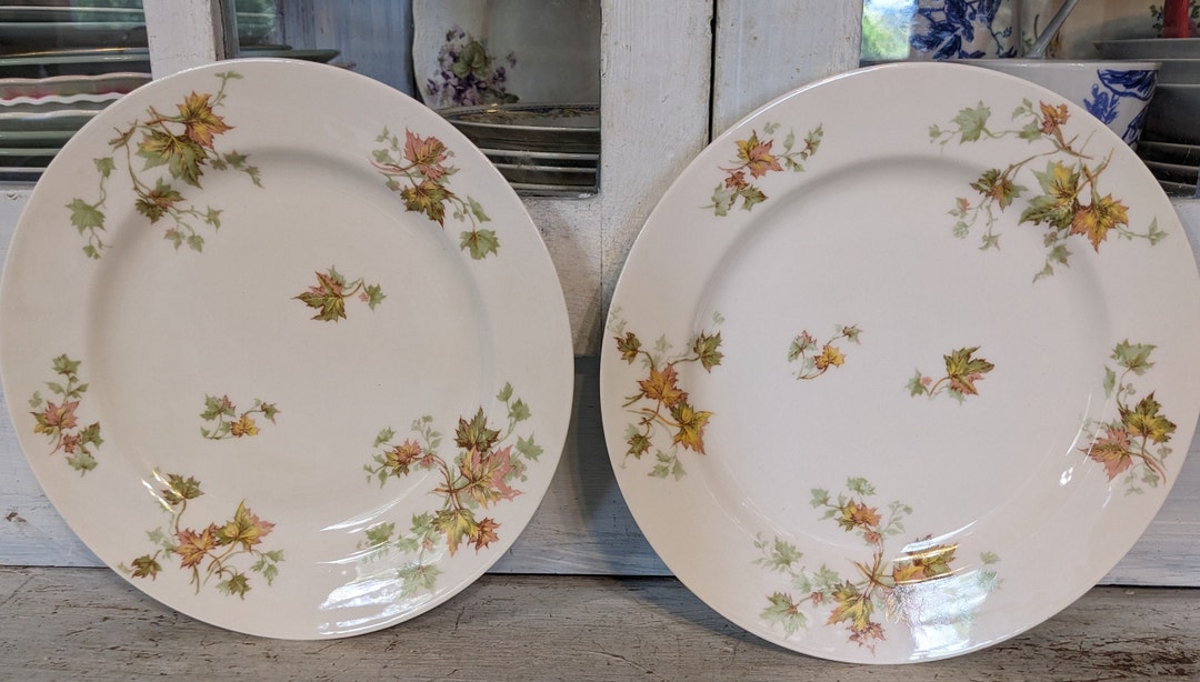 Two Haviland Limoges Autumn Leaf Luncheon Plates Etsy