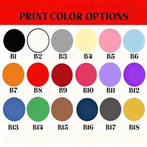 Puede incluir: Una carta de colores con el texto "PRINT COLOR OPTIONS" en una pancarta roja. La carta muestra 18 opciones de color en formas circulares, cada una etiquetada con una "B" seguida de un n&uacute;mero. Los colores incluyen negro, blanco, gris, amarillo, rosa y azul.