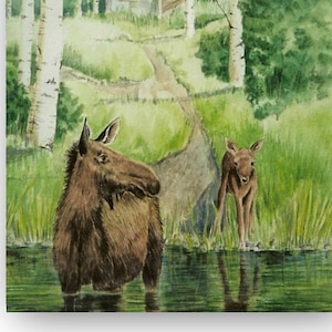 May include: A watercolor painting of a moose and her calf standing in a pond in a forest. The moose are brown and the calf is smaller. There is a small cabin in the background.