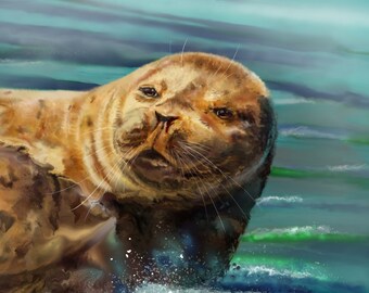 Seal Fine Art Print, cute fur seal artwork on canvas or archival paper