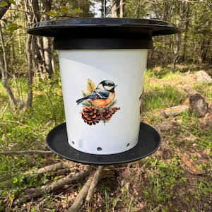bird feeders