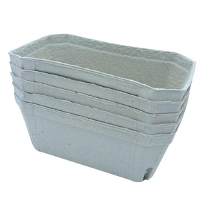 Cestas de fruta de fibra biodegradable Bramley & Sage de 500 g