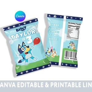 Editable Chip Bag Label Template for Kids Birthday Party Boy and Girl Decor PRINTABLE Party Favor