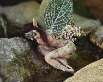 Hada Taru de la Selva Oscura, única y soñadora