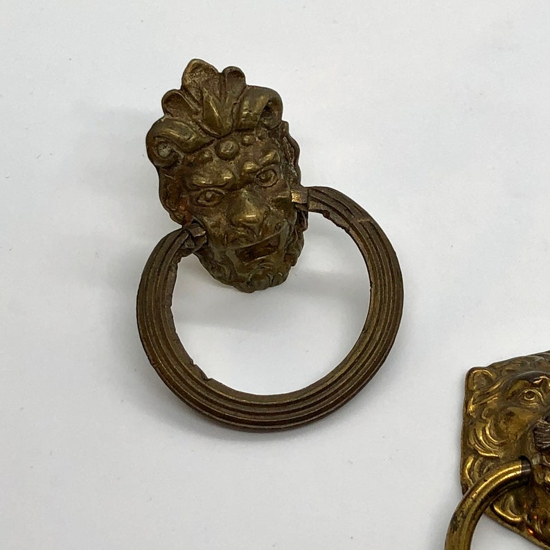 Antique Brass Lion Head Drawer Pull Etsy