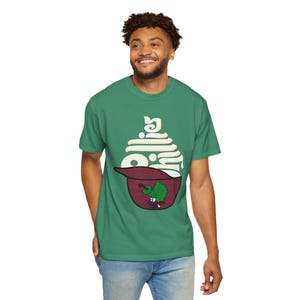 Phillies Inspired T Shirt , baseball Graphic Tee, Casual Wear, Phillies gift