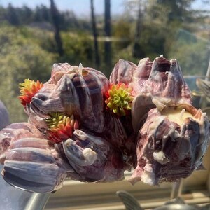 May include: A unique candle shaped like a cluster of seashells, with a mix of purple, white, and brown tones. The candle is adorned with small, colorful floral accents in shades of yellow, orange, and green. The candle is a decorative item.