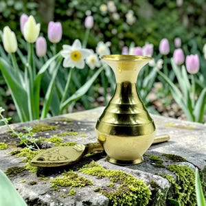May include: A small, gold-colored vase with a matching spoon-like scoop. The vase has a rounded body with horizontal ridges and a flared top. The scoop lies beside the vase on a mossy stone surface, with a backdrop of spring flowers.