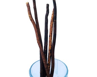 Organic Olives Miswak Sticks: Traditional Islamic Toothbrush (12 Pcs)