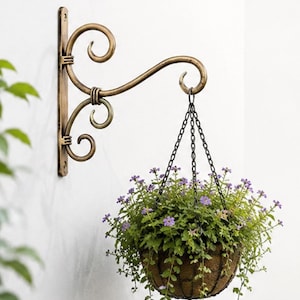May include: A wall-mounted plant bracket made of antique bronze-colored metal with decorative scrollwork. A hanging basket with a brown coconut fiber liner and green foliage with small purple flowers is suspended from the bracket by black chains.