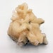 see more listings in the Crystals/Fossils section