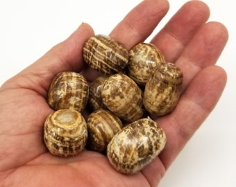 Brown Aragonite Tumbles