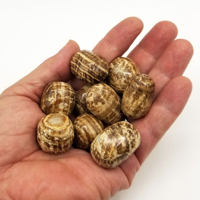 Brown Aragonite Tumbles image 1