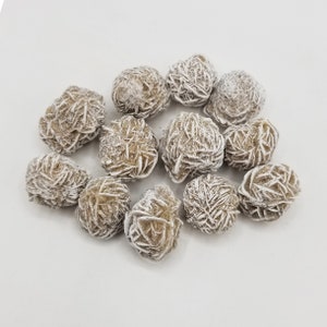 Desert Rose Selenite single, large image 1