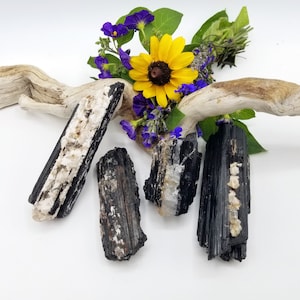 Schorl Black Tourmaline and Quartz