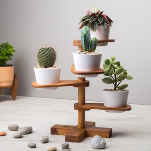 May include: A wooden plant stand with four white potted plants. The stand has a tiered design with round shelves and a central support. The plants include a cactus, succulent, and other greenery. The stand is made of dark wood.