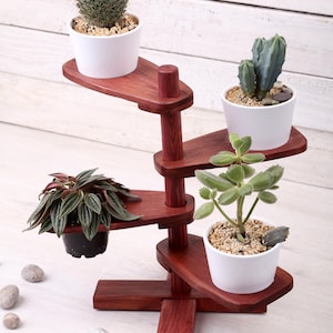 Op de afbeelding: Een houten plantenstandaard met meerdere niveaus, diep rood gebeitst, met vier potplanten. De standaard heeft een ongebruikelijk, asymmetrisch ontwerp. De planten omvatten een cactus, vetplanten en ander groen. Kleine stenen zijn verspreid.