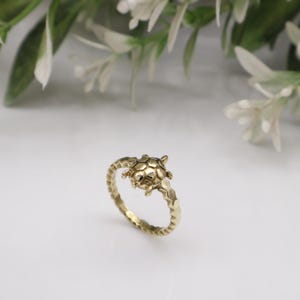 May include: A gold-coloured ring with a turtle design. The turtle's shell has hexagonal patterns, and the ring band has a textured, geometric design. The ring is set against a soft, white background with floral accents.