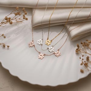 May include: Several personalised necklaces featuring paw print pendants. The necklaces are in gold, silver, and rose gold finishes. Each paw print pendant has a name engraved on it. The necklaces are presented on a white plate.