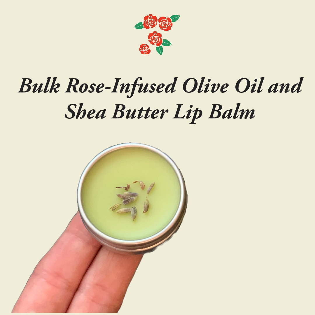 Bulk Olive Oil Lip Balm Roseinfused Olive Oil and Shea Butter Lip Balm