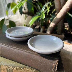 May include: A stack of four small, light gray ceramic dishes. One dish is separate, in the foreground. The dishes are on top of two antique books with dark brown and green covers. The background includes green plants and sunlight.