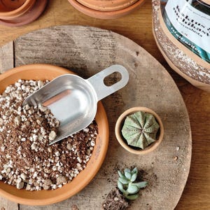 May include: A selection of gardening items arranged on a wooden surface. A metal scoop is in a terracotta dish with soil and stones. A small green cactus is in a terracotta pot, and a small succulent plant is nearby. Several terracotta pots are in the background.
