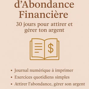 Financial Abundance Notebook
