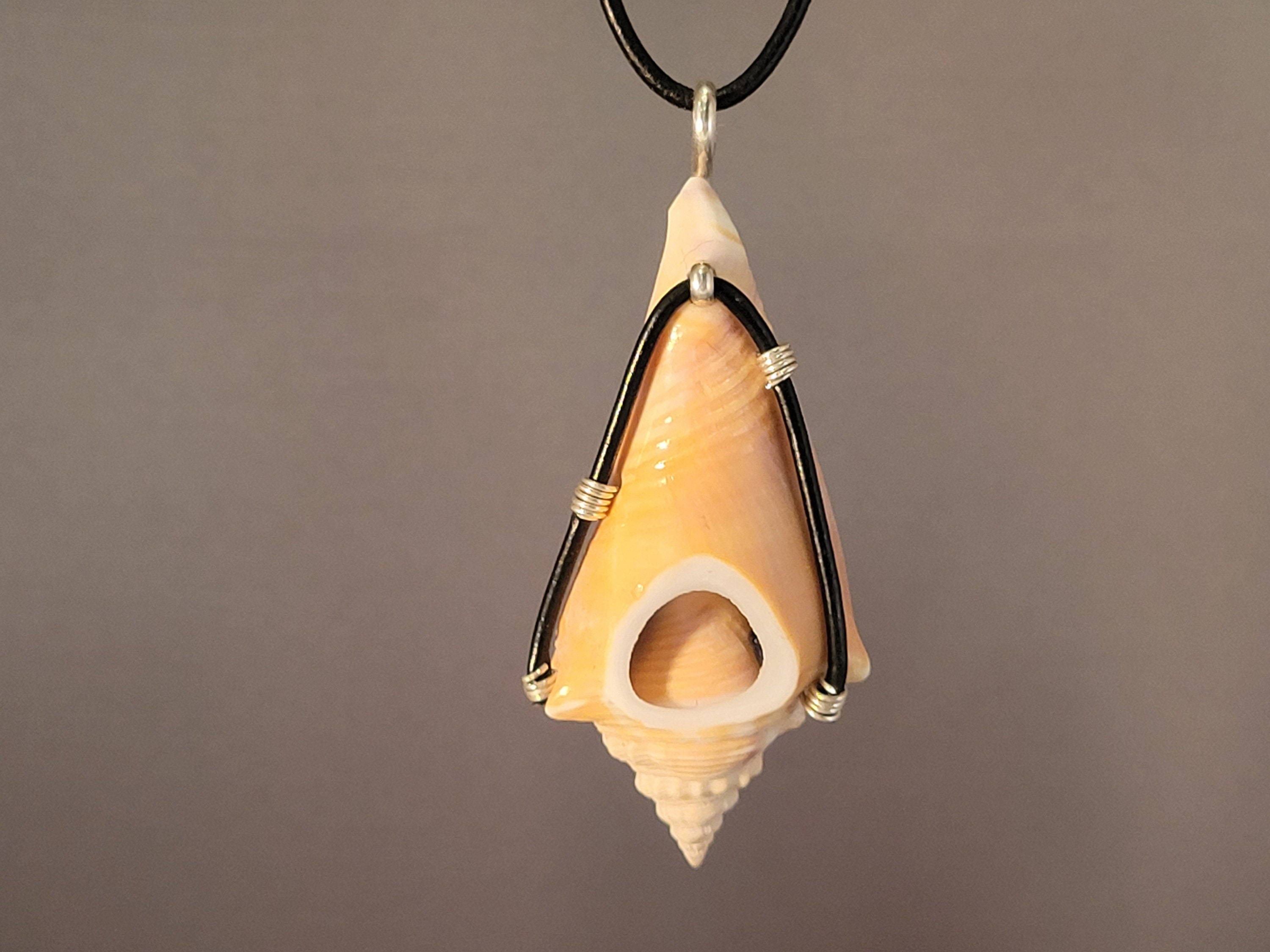 Sliced Conch Sea Shell Pendant Drilled With Silver Wire, Black Onyx ...