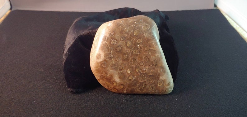 Hand Polished Petoskey Stone with one side naturally rough