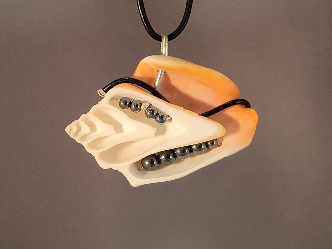 Sliced Conch Sea Shell Pendant Drilled and Strung With Silver Wire ...