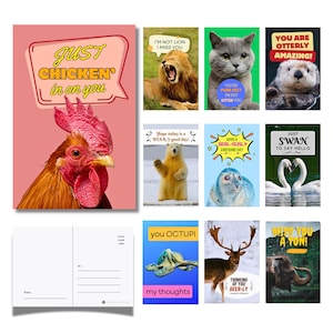 May include: A collection of colorful postcards featuring animal puns. Designs include a rooster with the text "Just Chicken' in on you," a lion, a cat, an otter, a polar bear, a seal, swans, an octopus, a deer, and an elephant.
