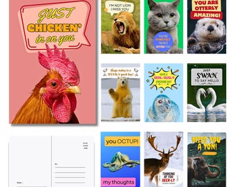 40 Funny Animal Pun Postcards - Bulk Set for Kids & Adults