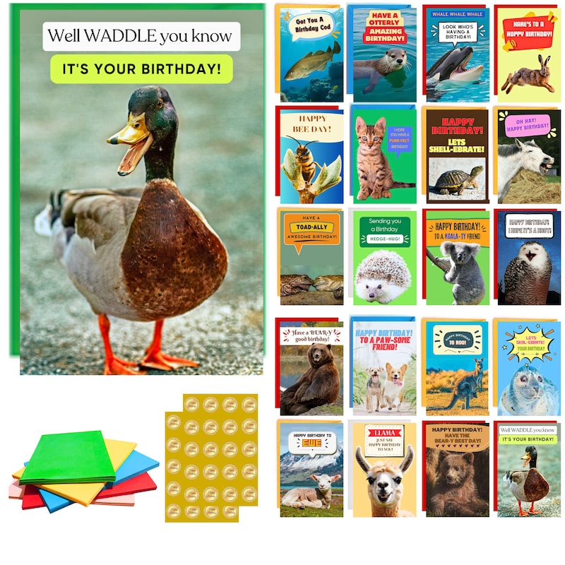 Silly Birthday Card Set - Etsy