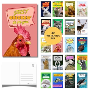 May include: A set of 40 postcards featuring various animal photographs with humorous puns and text such as Just Chicken in on you, You are otterly amazing, and I whale ly miss you. The cards display colorful designs with diverse wildlife.