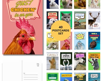 May include: A set of 40 postcards featuring various animal photographs with humorous puns and text such as Just Chicken in on you, You are otterly amazing, and I whale ly miss you. The cards display colorful designs with diverse wildlife.