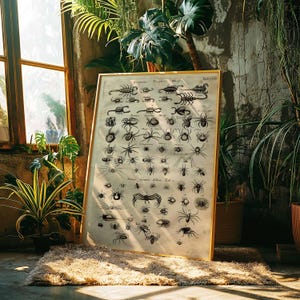 Vintage Insect Scientific Chart | Entomology Wall Art Print | Antique Printable Poster | Instant Download Decor