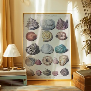 Vintage Seashell Chart Digital Art | Nautical Printable Wall Art | Beach Decor Instant Download | Coastal Science Poster