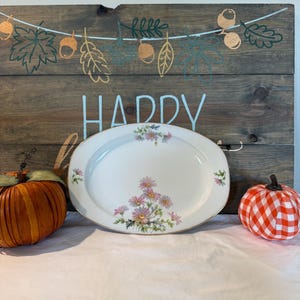 TK Thun Tjeckoslovakien Daisy Porslinsset (85 delar)