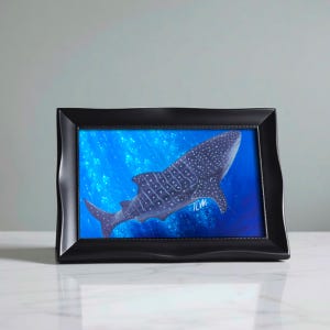 Whale Shark Art Print: Ocean Wildlife Illustration