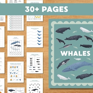Whales Morning Basket Homeschool Morning Menu Ocean Printable Preschool Printable Worksheets Whale Activities Preschool Lesson Plan