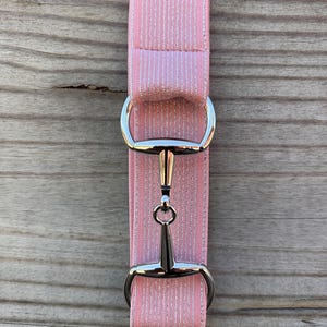May include: A pink and silver striped horse bridle cheek piece with a silver bit. The bridle piece is made of a pink fabric with silver stripes. The bit is silver and has a curved shape.
