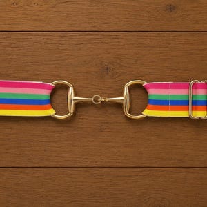 Op de afbeelding: Een riem met een levendig horizontaal gestreept patroon in roze, groen, blauw, oranje en geel. De riem is voorzien van een goudkleurige metalen bitgesp in het midden en een bijpassende metalen schuifregelaar aan de rechterkant.