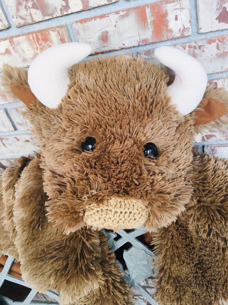 Small Highland Cow Rug Baby Southwestern Nursery Bison Gift Etsy