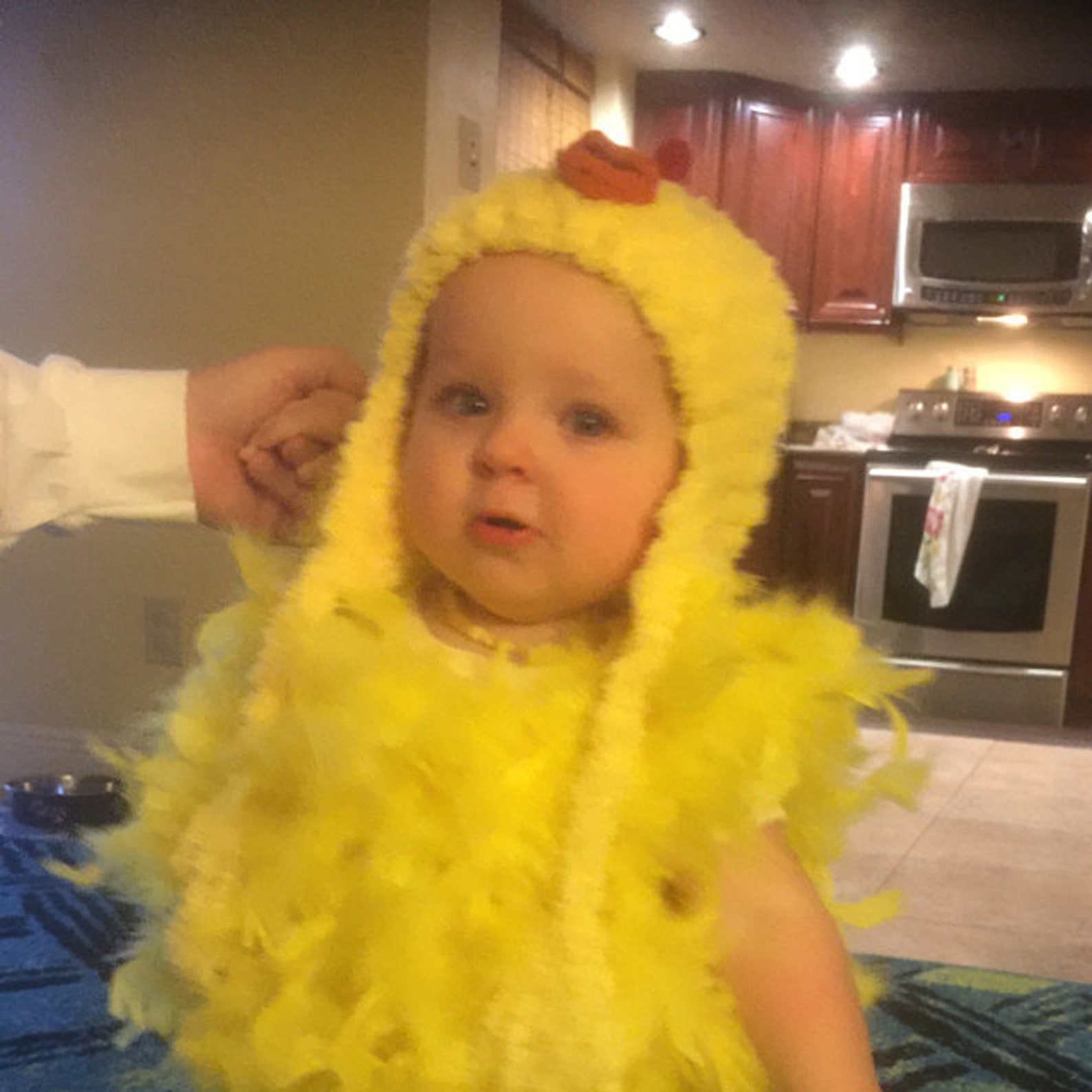 Twin Chicken Costumes Halloween Chick Outfits Baby Hat Etsy