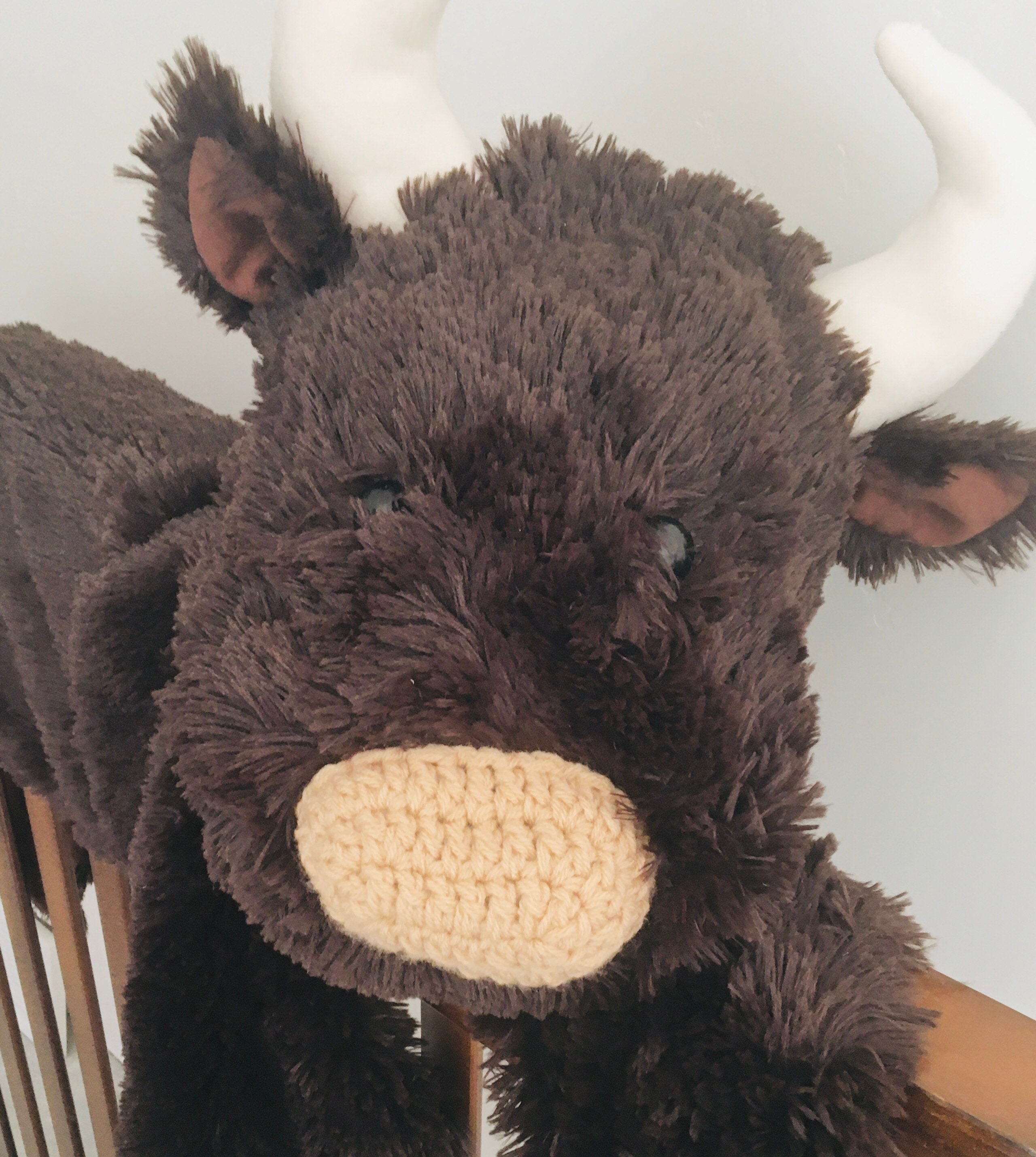 Buffalo Rug Bison Minky Blanket Southwestern Nursery Decor Etsy