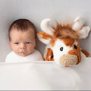 Longhorn Lovey - Texas Cow Nursery Decor - by JoJo'sBootique