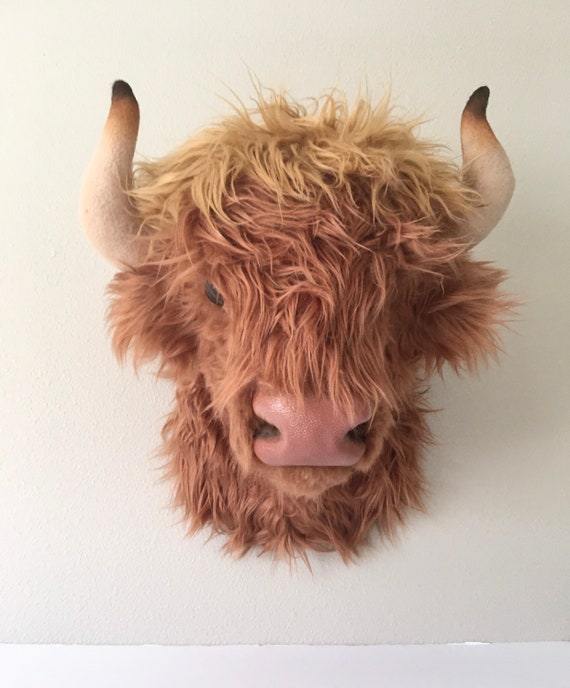 Highland Cow Wall Mount Bison Faux Taxidermy Scottish Ox - Wall Mounted Highland Cow Head