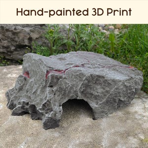 Piel de roca dentada