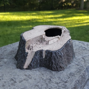Chopped Tree Stump Hide